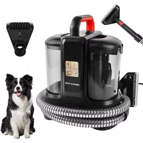Carpet cleaner spot - carpet, sofa
